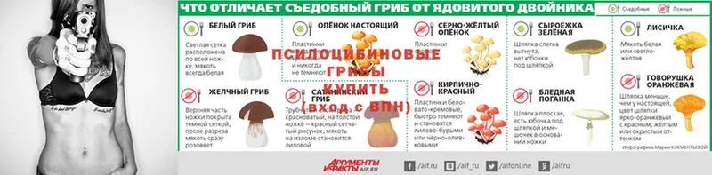 Галлюциногенные грибы прущие грибы  Мирный 